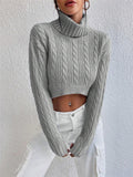 2025 Autumn And Winter New Women's High-Neck Long-Sleeved Sleeve Thighs Short Sweater HZ1208