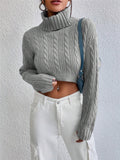 2025 Autumn And Winter New Women's High-Neck Long-Sleeved Sleeve Thighs Short Sweater HZ1208