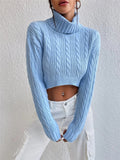 2025 Autumn And Winter New Women's High-Neck Long-Sleeved Sleeve Thighs Short Sweater HZ1208
